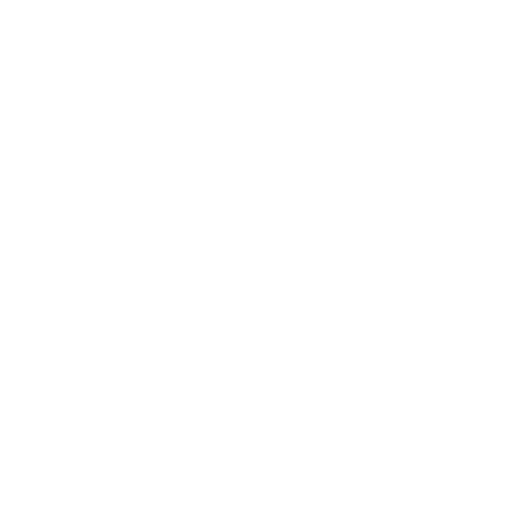 cfo